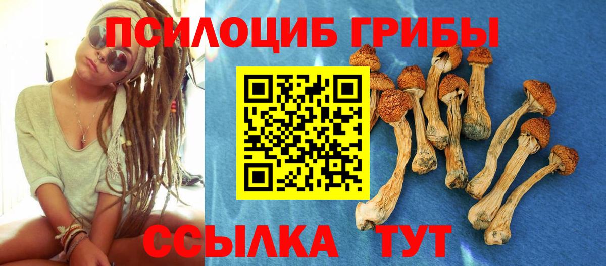 Псилоцибиновые грибы Magic Shrooms Советск