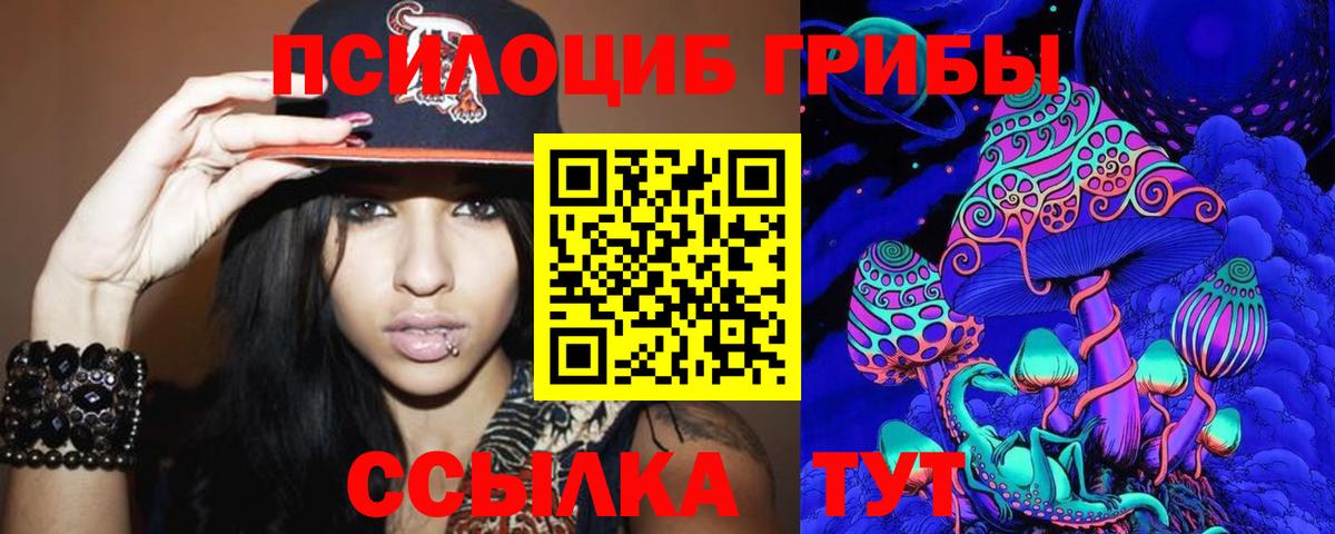 Псилоцибиновые грибы мицелий  Вход с VPN  что такое наркотик  Советск 